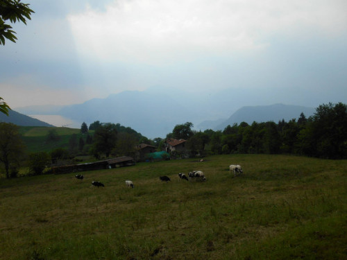 Terreno agricolo in vendita a Sulzano (BS)