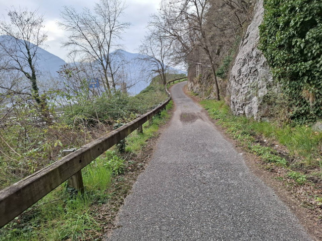 Terreno Agricolo in Vendita a Marone