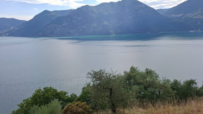 Terreno Agricolo in Vendita a Marone