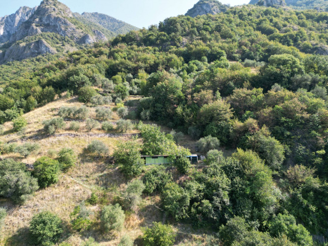 Terreno Agricolo in Vendita a Marone