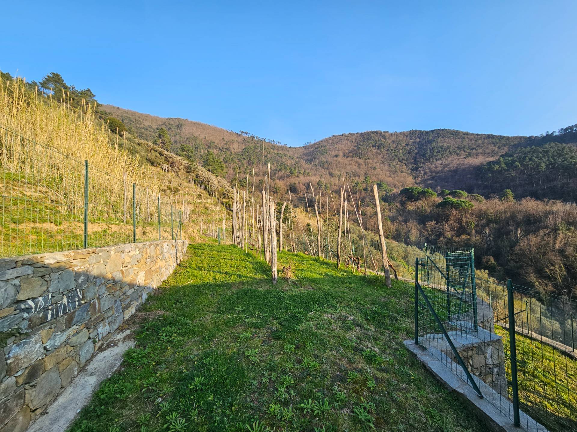Villa in vendita a Moneglia (GE)