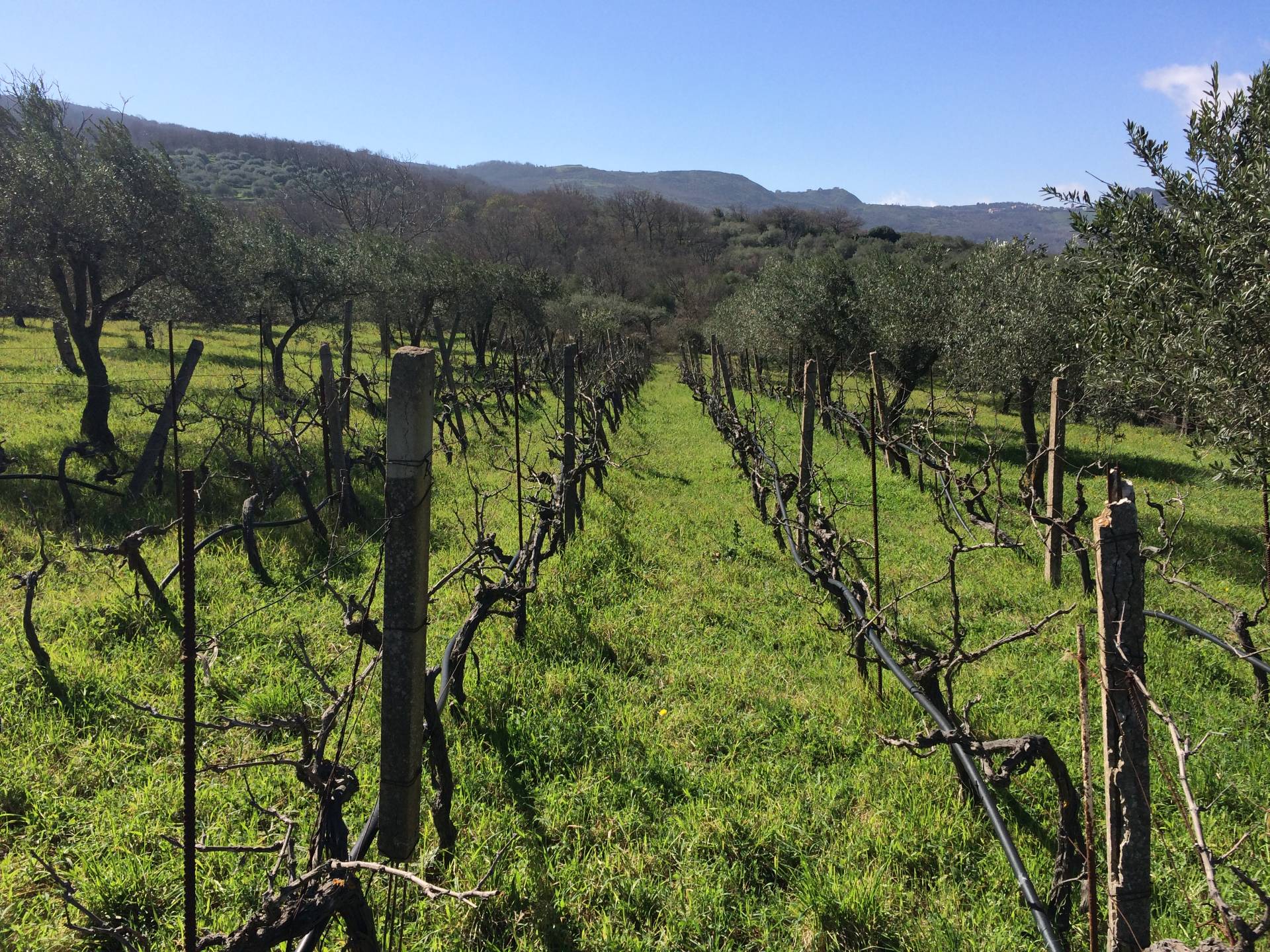  buccheri vendita quart:  stima-immobiliare-di-ragusa-salvatore