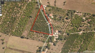 Terreno Agricolo