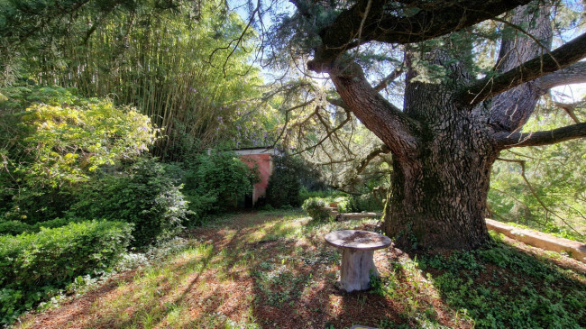 Villa in vendita a Tregnago