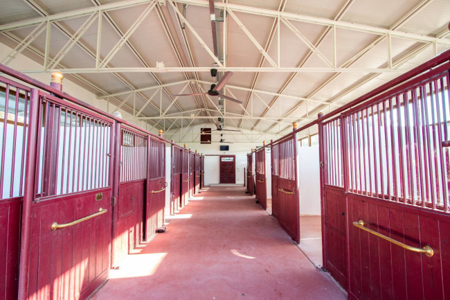 Azienda Agricola in Vendita a Lazise