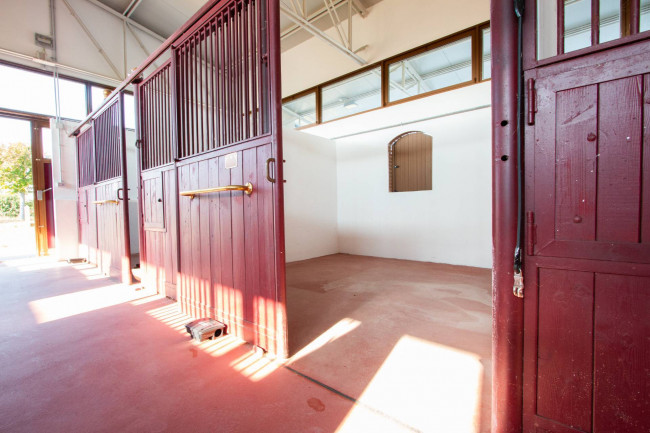 Landwirtschaftlicher Betrieb zu verkauf in Lazise