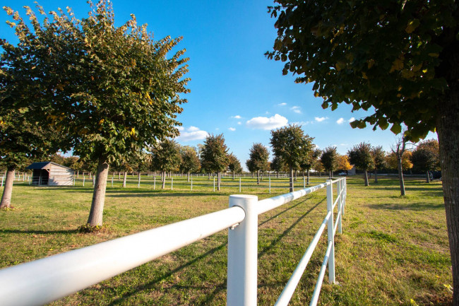 Landwirtschaftlicher Betrieb zu verkauf in Lazise