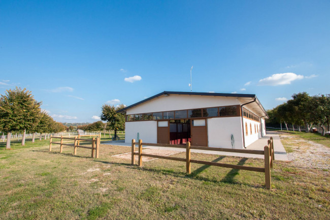 Landwirtschaftlicher Betrieb zu verkauf in Lazise