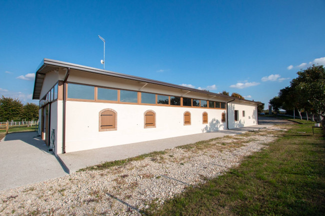 Landwirtschaftlicher Betrieb zu verkauf in Lazise