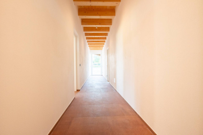 Landwirtschaftlicher Betrieb zu verkauf in Lazise