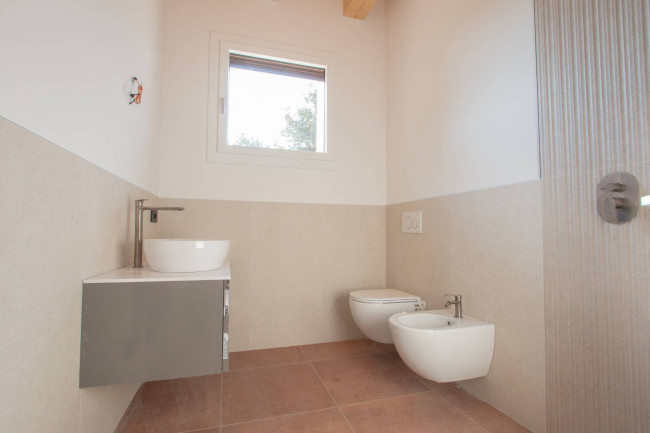 Landwirtschaftlicher Betrieb zu verkauf in Lazise