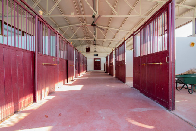 Landwirtschaftlicher Betrieb zu verkauf in Lazise
