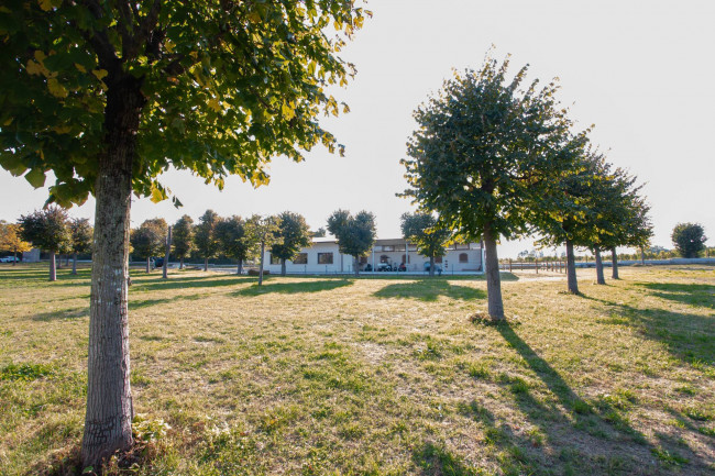 Landwirtschaftlicher Betrieb zu verkauf in Lazise