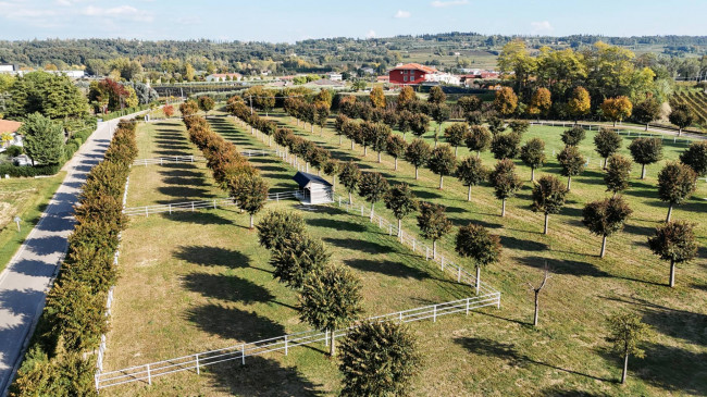 Landwirtschaftlicher Betrieb zu verkauf in Lazise