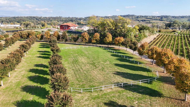 Landwirtschaftlicher Betrieb zu verkauf in Lazise