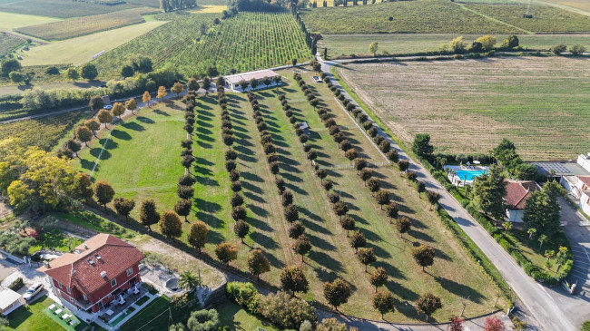 Landwirtschaftlicher Betrieb zu verkauf in Lazise