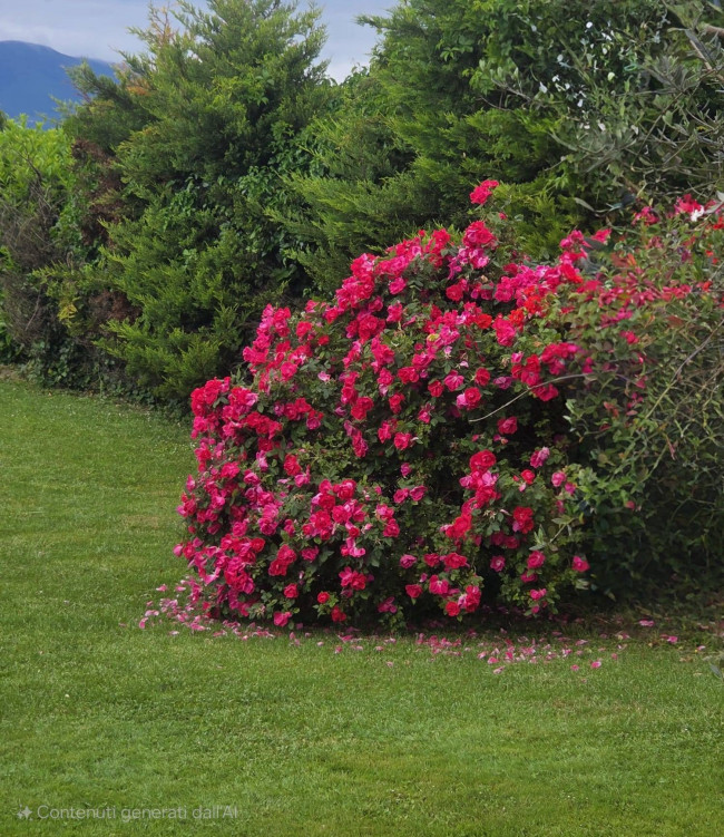 Villa for sale in Pescantina