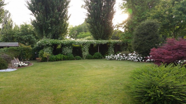 Villa in vendita a Vigasio