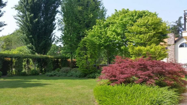 Villa in vendita a Vigasio