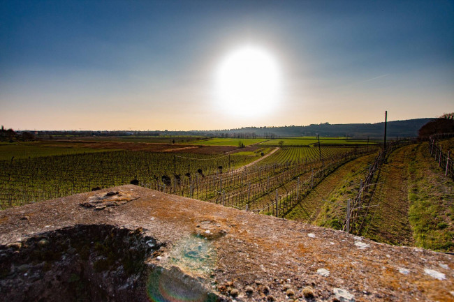 Casa singola in Vendita a San Martino Buon Albergo