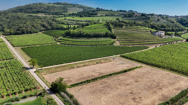 Casa singola in vendita a San Martino Buon Albergo