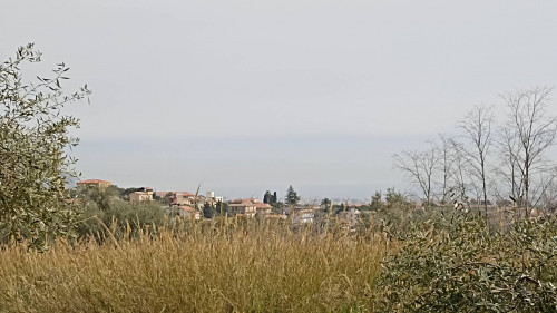 Terreno edificabile in vendita a Monreale (PA)