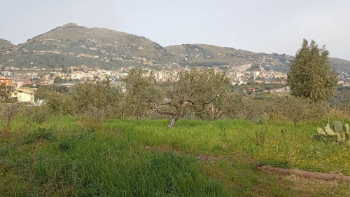 Terreno edificabile in vendita a Monreale (PA)