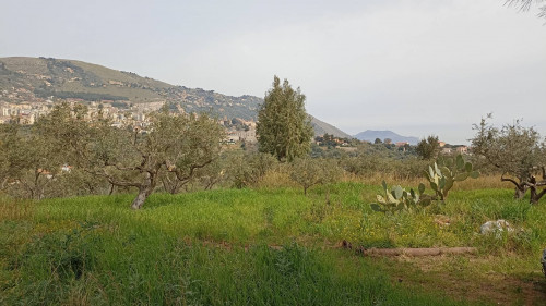 Terreno edificabile in vendita a Monreale (PA)