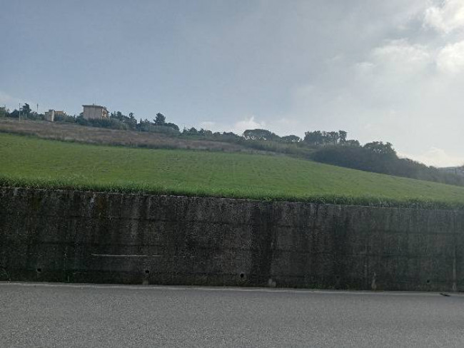 Terreno agricolo in vendita a Loreto (AN)