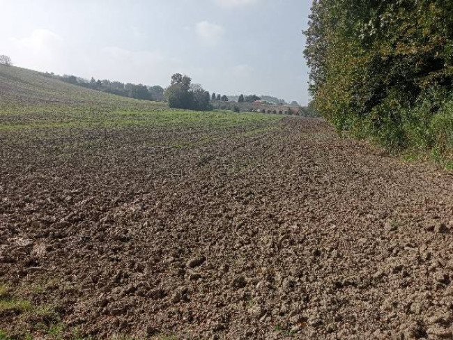 Terreno agricolo in vendita a Loreto (AN)