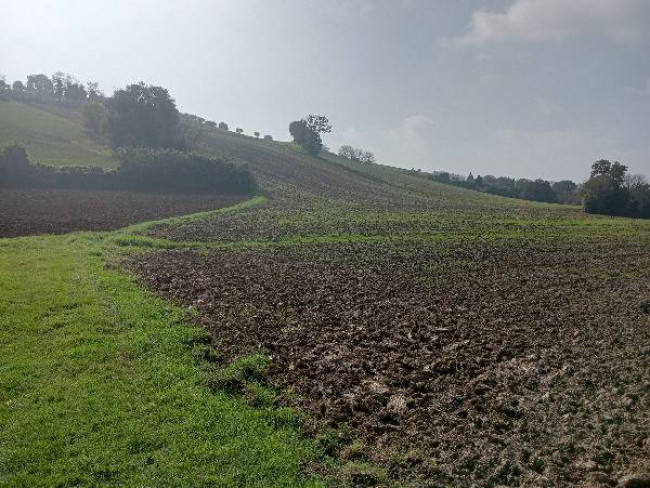 Terreno agricolo in vendita a Loreto (AN)