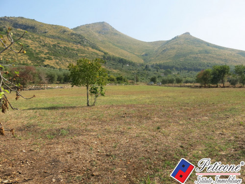 TERRENO AGRICOLO