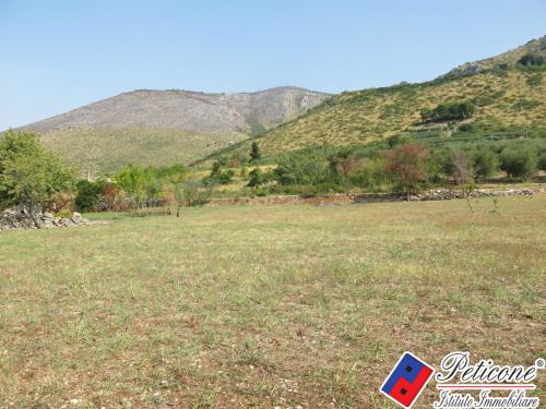 TERRENO AGRICOLO