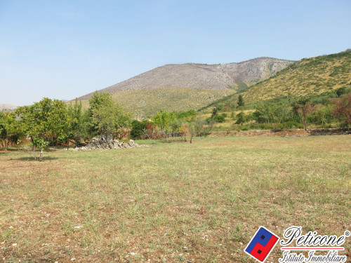 TERRENO AGRICOLO