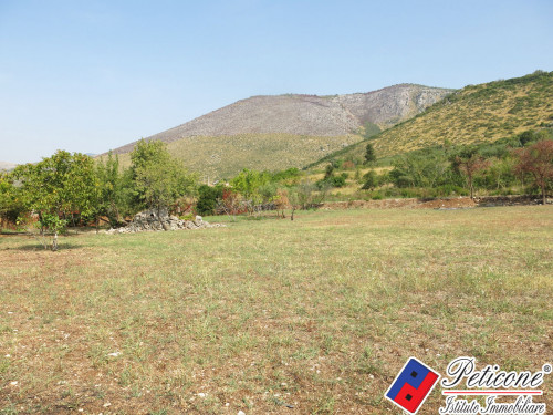 TERRENO AGRICOLO