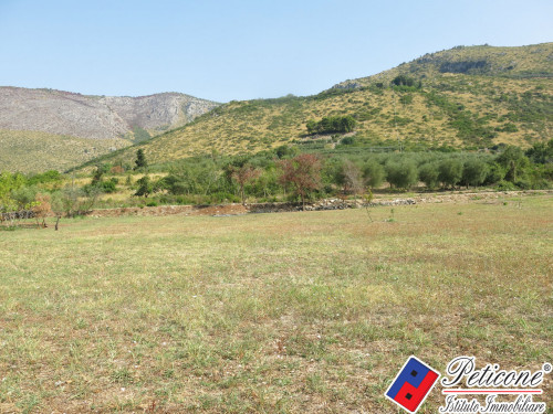 TERRENO AGRICOLO