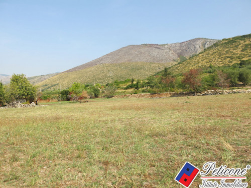 TERRENO AGRICOLO