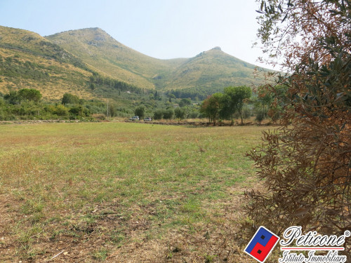 TERRENO AGRICOLO