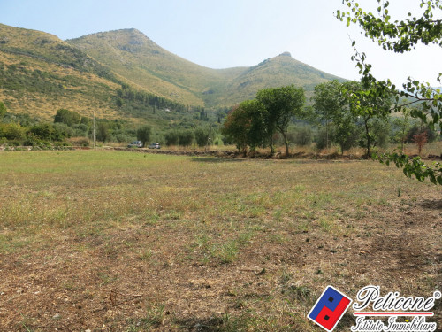 TERRENO AGRICOLO