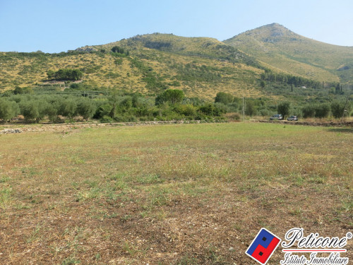 TERRENO AGRICOLO