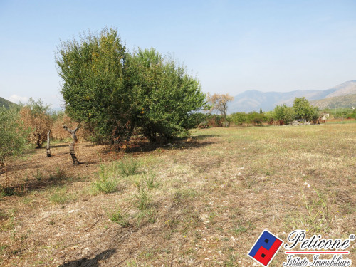 TERRENO AGRICOLO