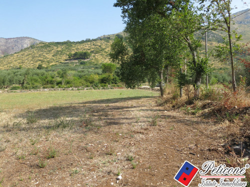 TERRENO AGRICOLO