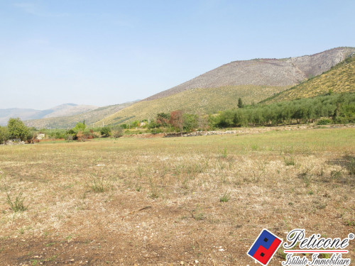 TERRENO AGRICOLO