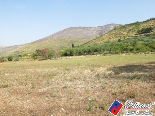 TERRENO AGRICOLO