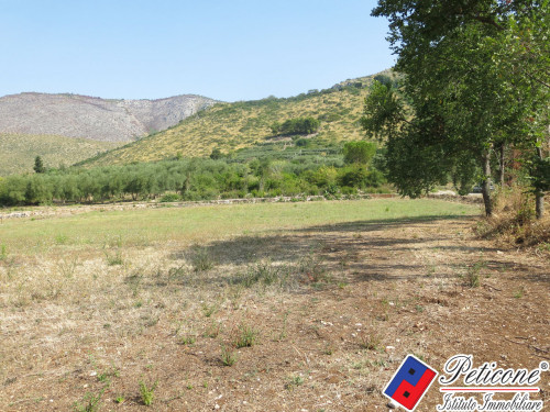 TERRENO AGRICOLO
