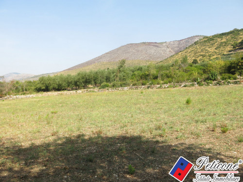 TERRENO AGRICOLO
