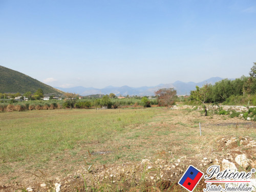 TERRENO AGRICOLO