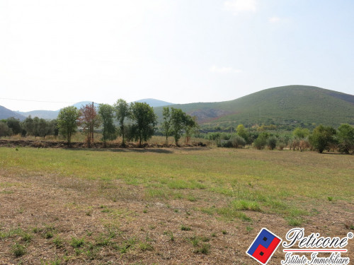 TERRENO AGRICOLO