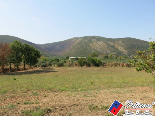 TERRENO AGRICOLO