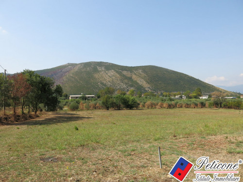 TERRENO AGRICOLO